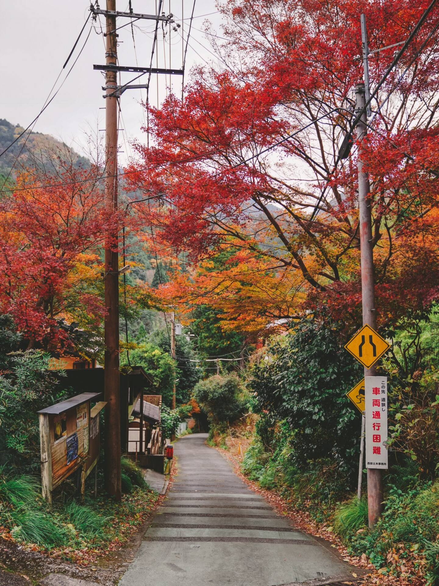 深入嵯峨野山中的清滝川 遇见秋季最美的京都 京都旅游攻略 尽在airbnb爱彼迎