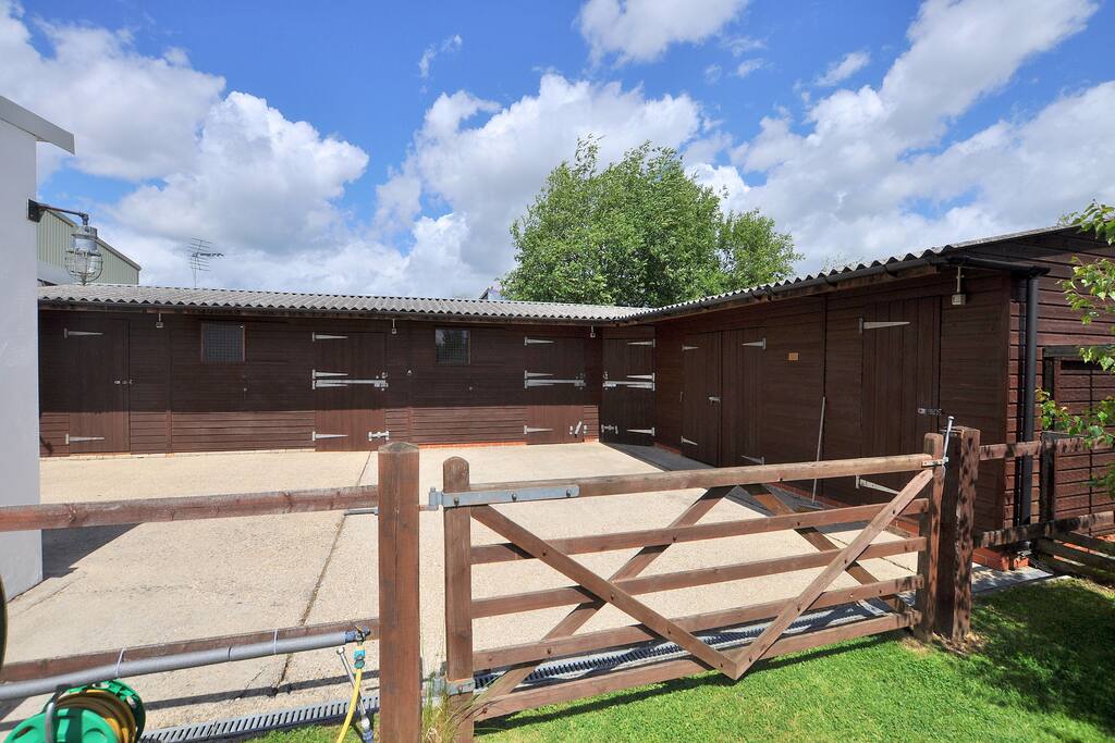 Bring your horse/ pony on holiday
