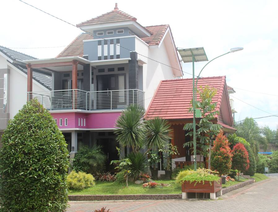 Front Look (2)