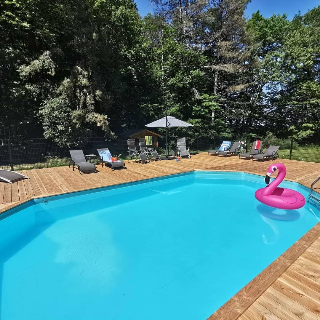 A swimming pool surrounded by a wooden deck offers lounging space with several sunbeds and a shaded umbrella. A pink inflatable flamingo floats in the clear water, while a backdrop of lush trees adds a natural setting.