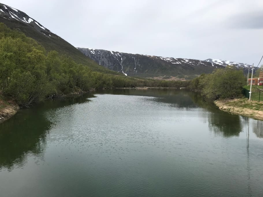 The river Vollelva is 1 kilometer away from the camper. Here is possible to get trout and salmon