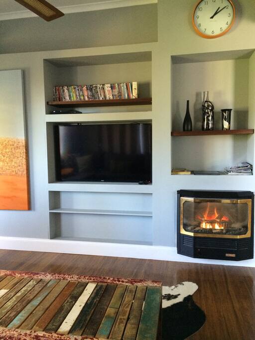 TV + DVD player and a shelf full of movies. The gas heater warms the house up in minutes!