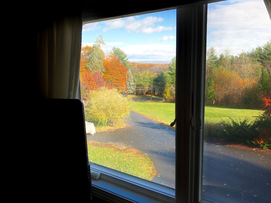 Beautiful view from the bedroom.