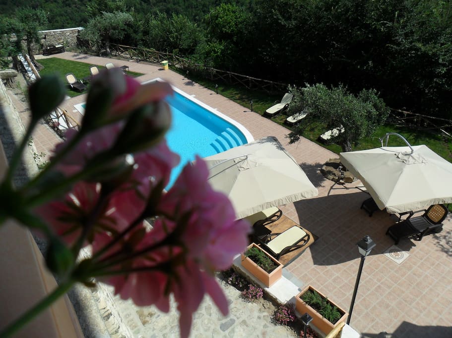 Pool Area