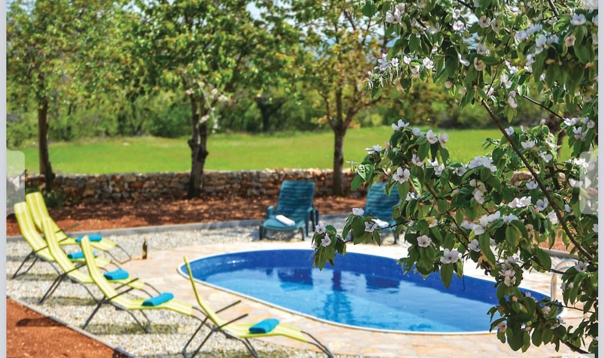 A private pool is surrounded by a stone patio with lounge chairs positioned under flowering trees, providing a serene outdoor setting. Lush greenery surrounds the area, enhancing the peaceful atmosphere. The pool's clear water reflects the sunlight, inviting relaxation in a tranquil environment.