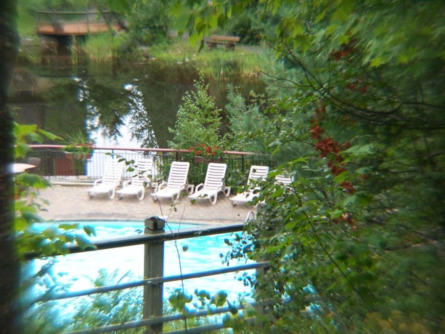Vue de piscine et lac/Pool view and lake
