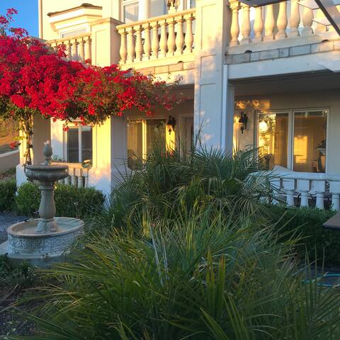 San Francisco Bay Views