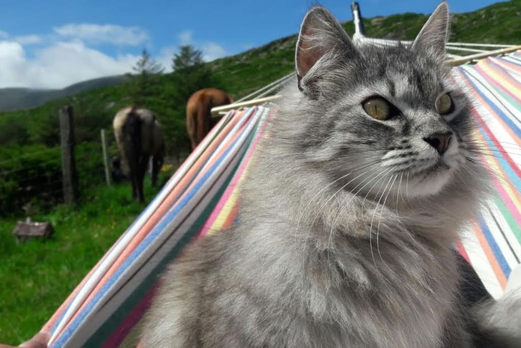 Puschel, the boss.