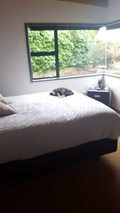 Large sunny room with comfortable Queen size bed .