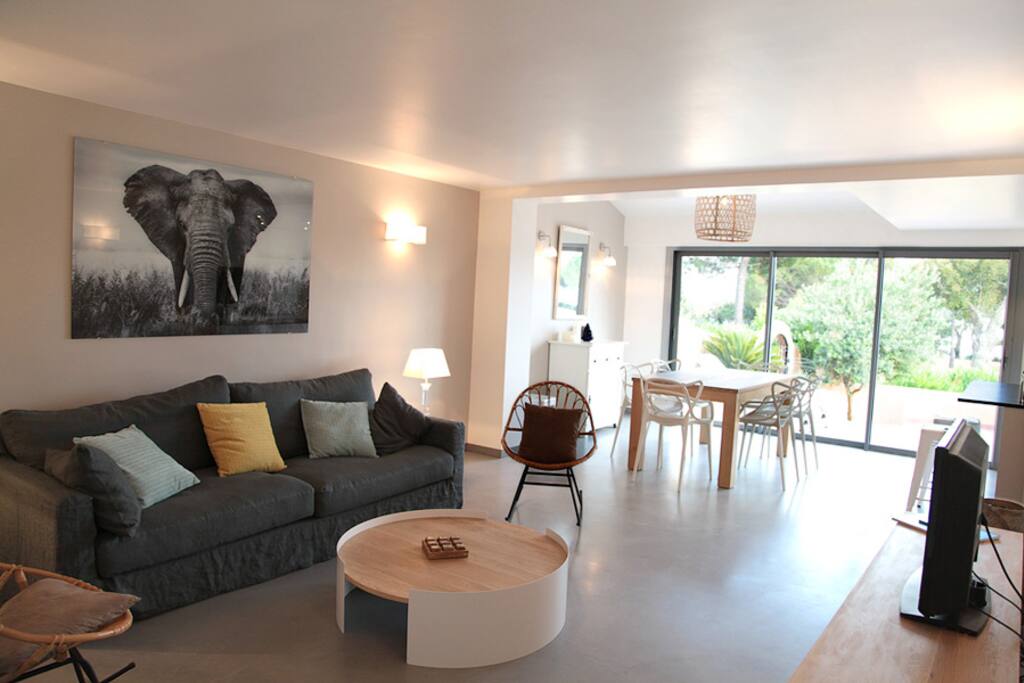 Salon / Salle à manger