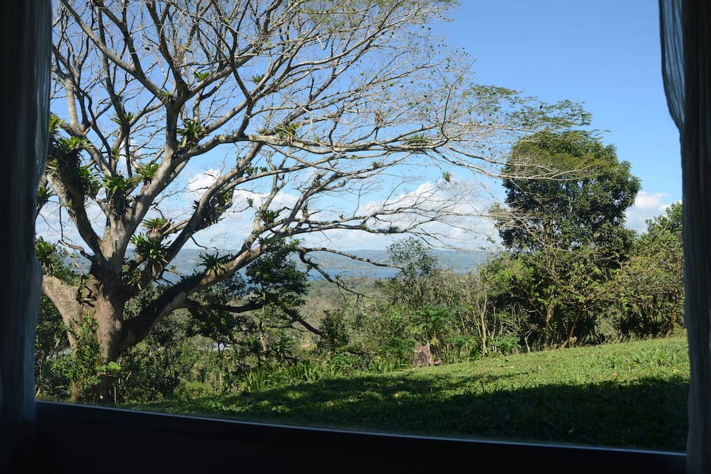Perfect for bird-watching! / ¡Perfecto para avistamiento de aves!