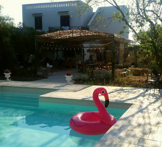 Ready for an Italian dream vacation? gallery image 4