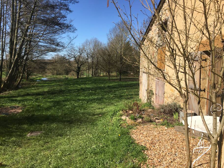 Sur le côté de la maison. Herbes aromatiques à disposition.