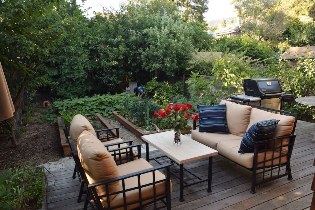 Garden oasis in the back yard