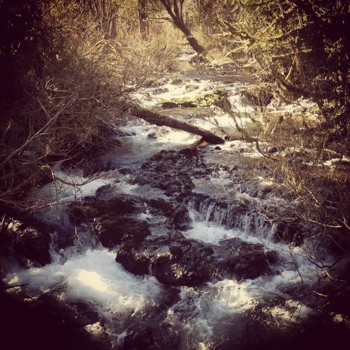 Sacred waters of Rock Creek.. line all 32 acres.