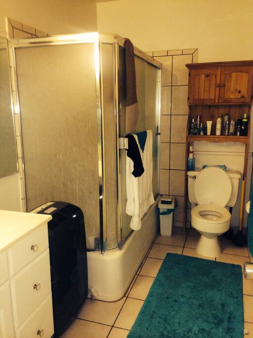 Bathroom in master bedroom