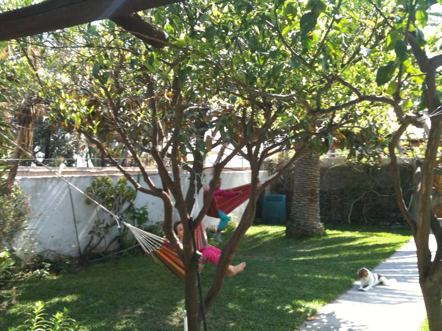 giardino anteriore