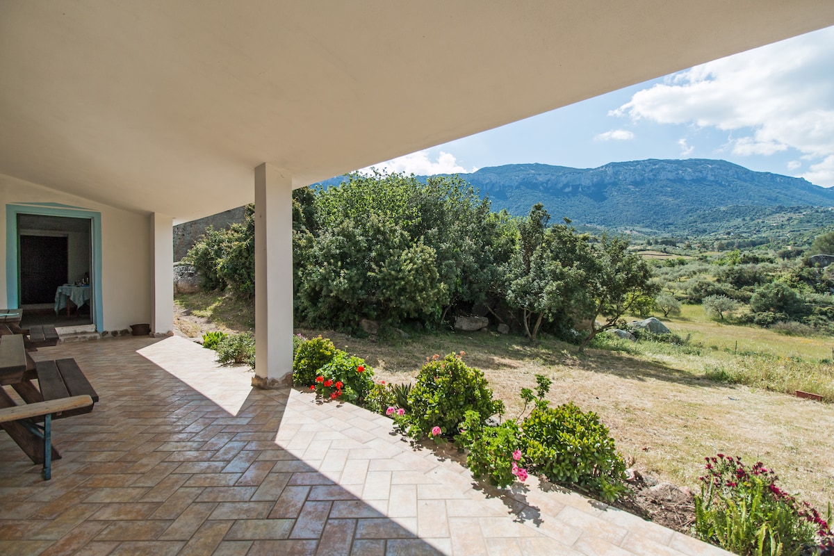 A spacious outdoor terrace features tiled flooring, bordered by colorful flower beds. Views of lush greenery and distant mountains are visible under a clear blue sky, providing a serene backdrop for relaxation. The area is shaded, offering a comfortable setting for outdoor gatherings.