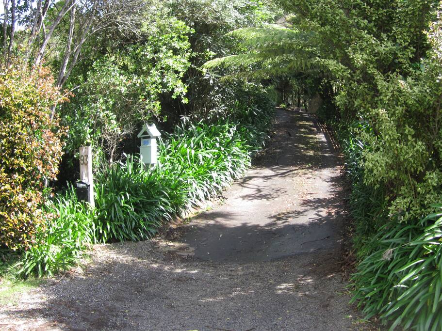 Driveway