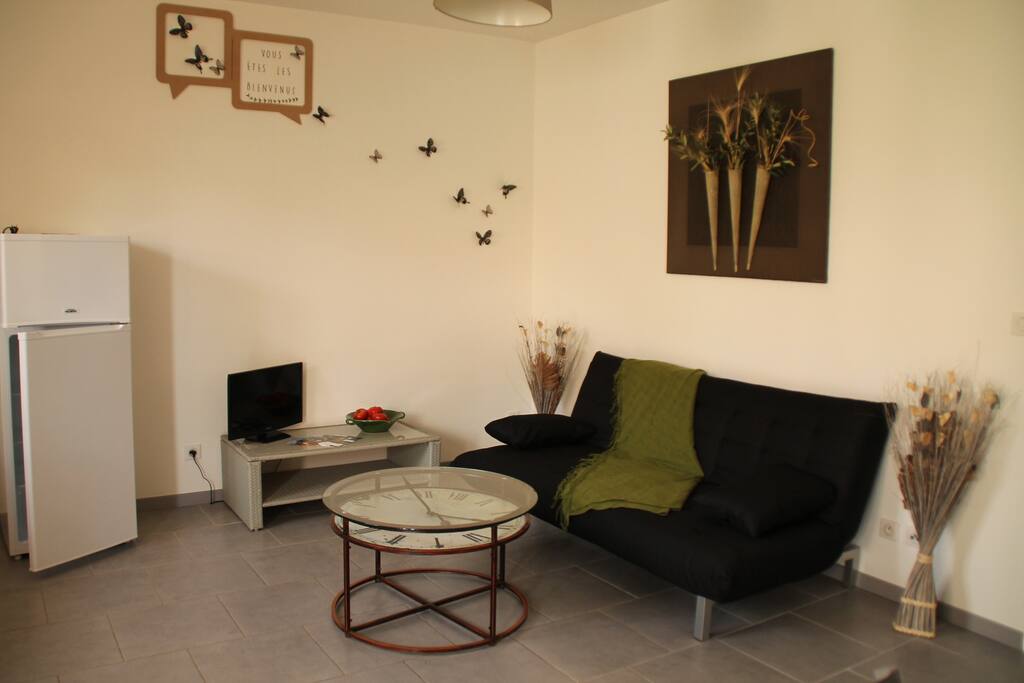 salon avec canapé lit