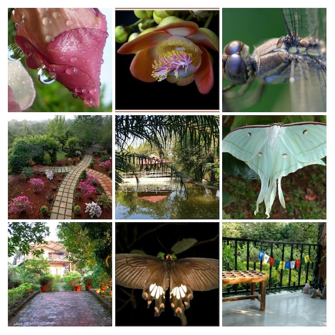Nature in all its splendour, experience the rare sightings of the flora and fauna