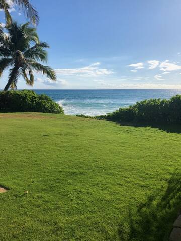 PARADISE FOUND! BEACHFRONT TROPICAL OCEAN OASIS gallery image 3