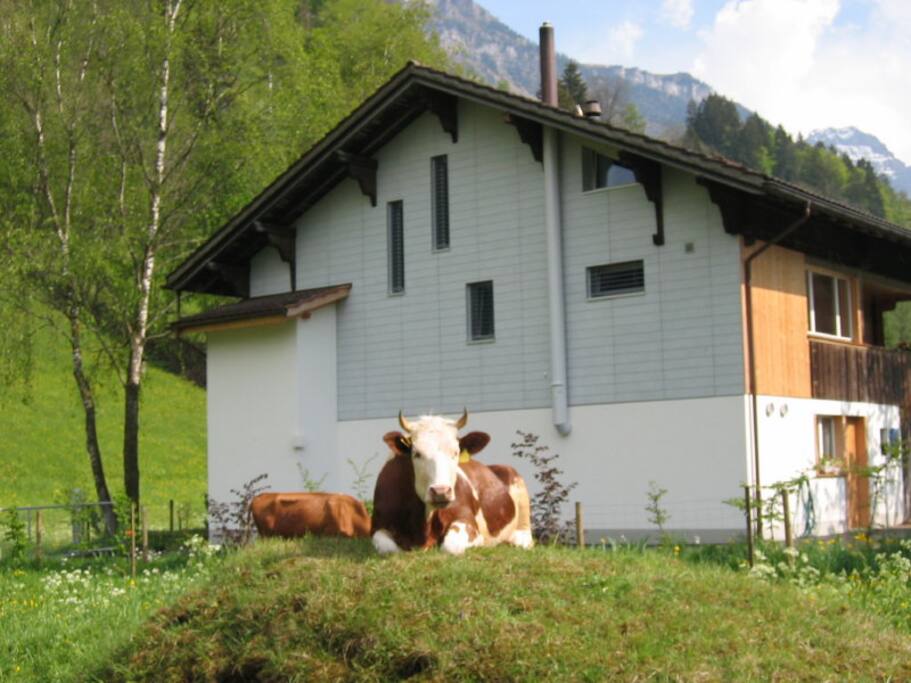 Haus Guldeli Nordansicht