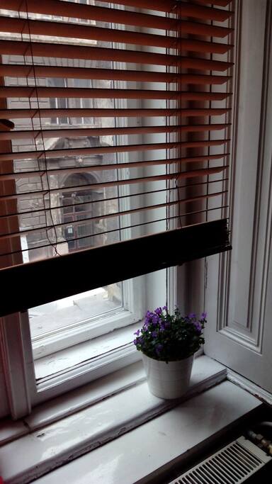 window with wooden shades in the living room