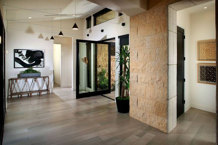 Villa Noir – Award Winning Modern Home! gallery image 3