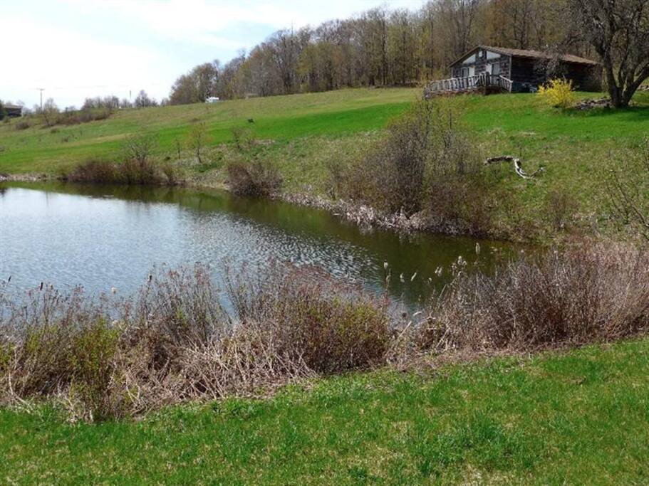 Nest with pond