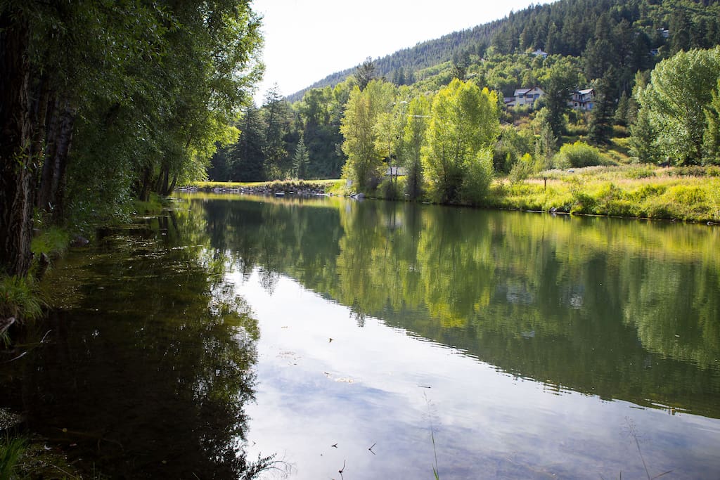 Trout Pond - directly behind our home