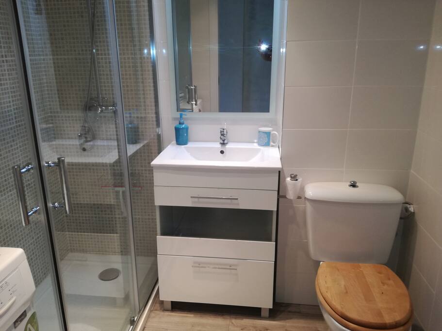 BAÑO RENOVADO 2017