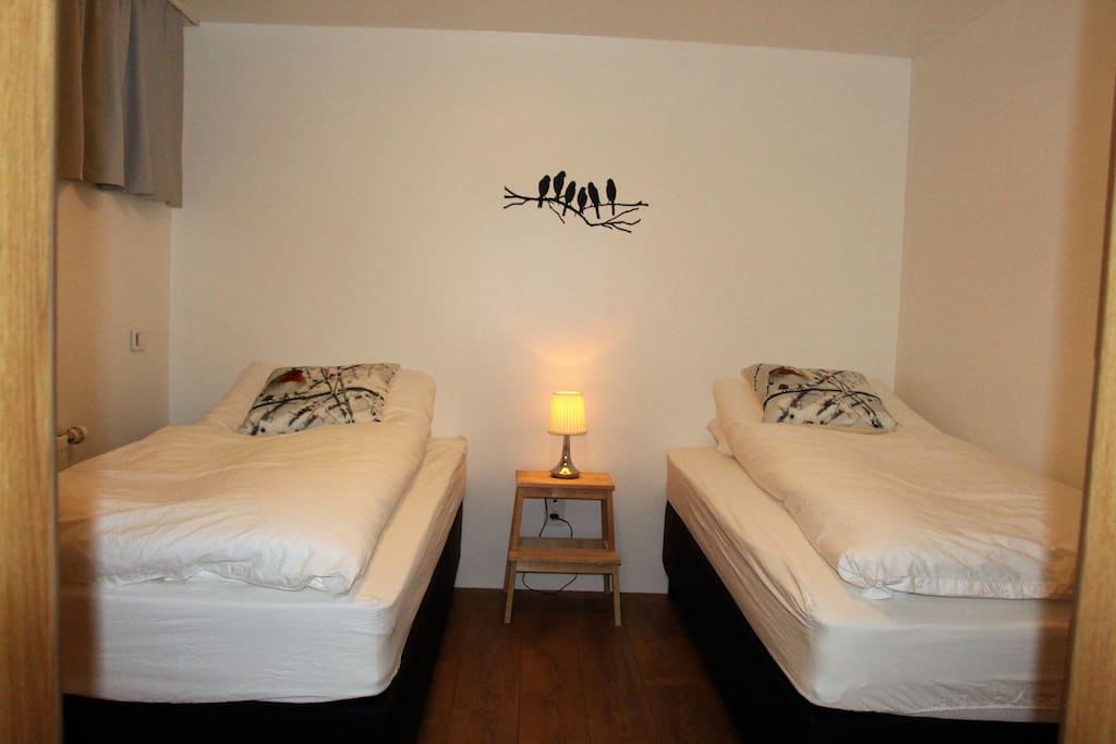 2 x single bed