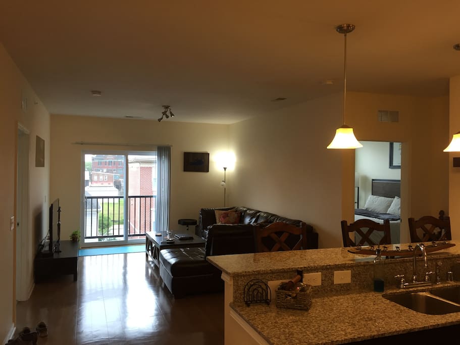Entrance/Kitchen/Living Room Area