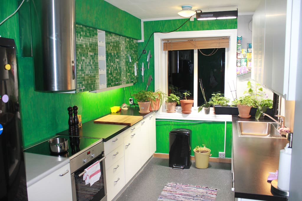 Kitchen Green :-) garden