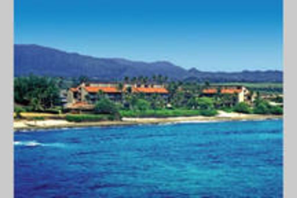 ocean view
