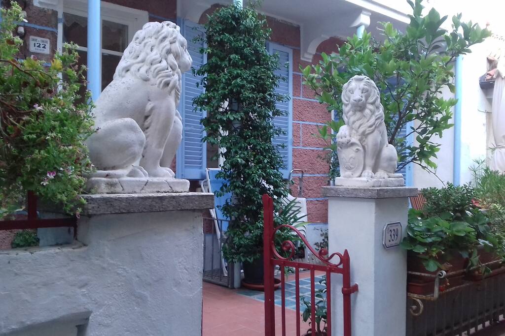 the terrace