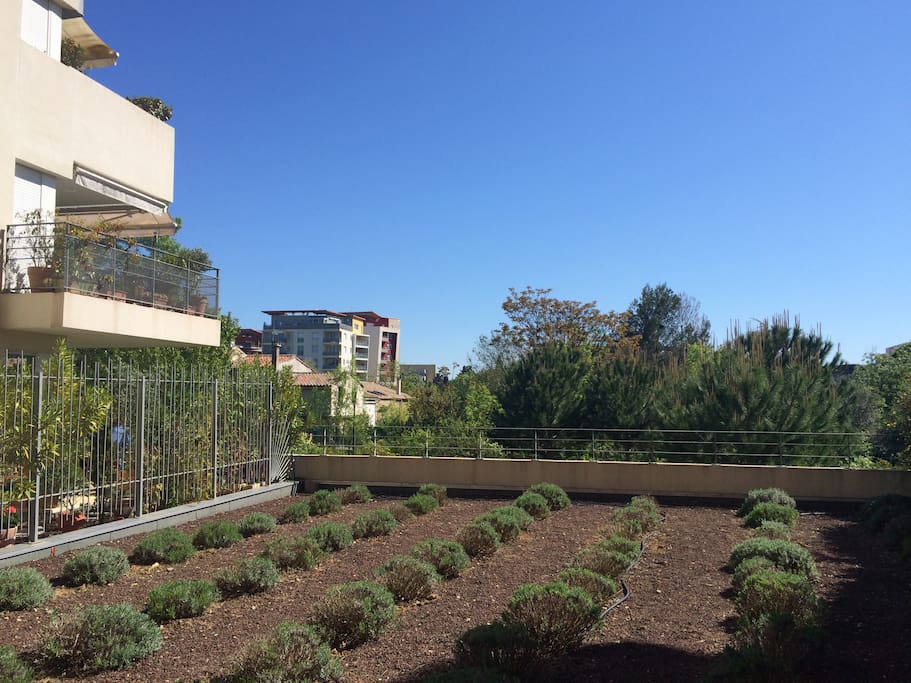 Jardins de la résidence