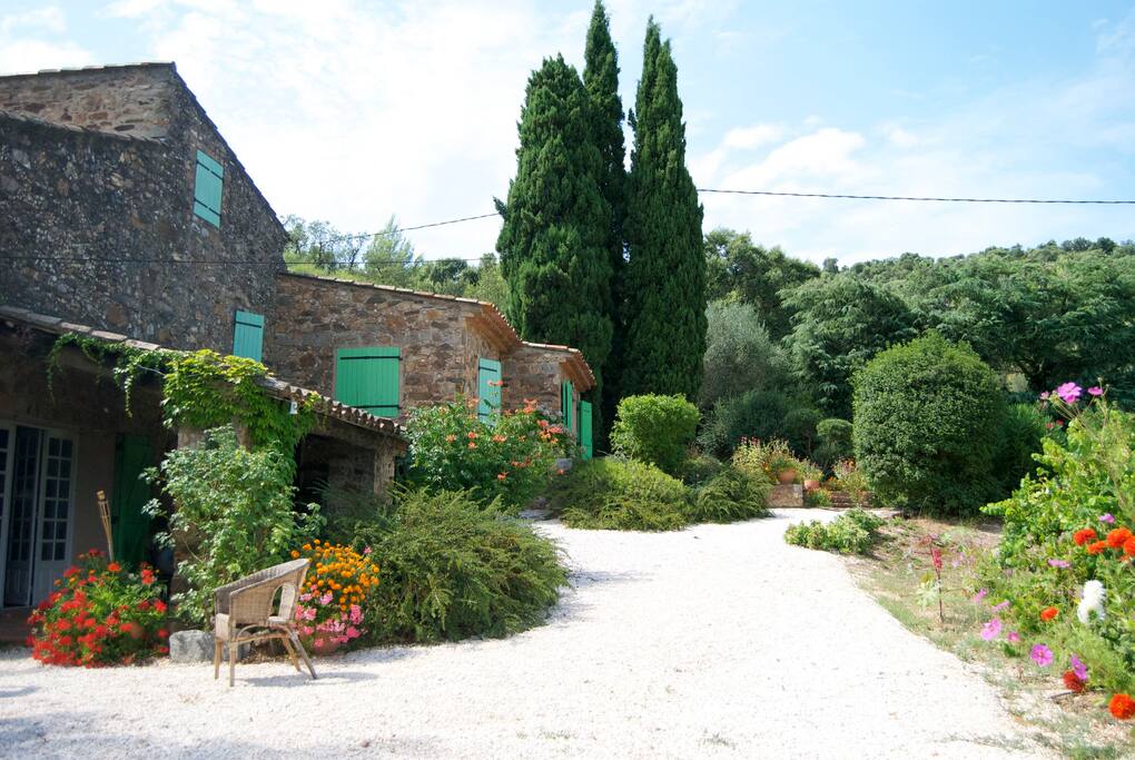 Mas provençal authentique dans son nid de verdure entouré de pins, vignes, oliviers...