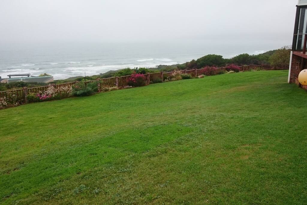 View of the garden.