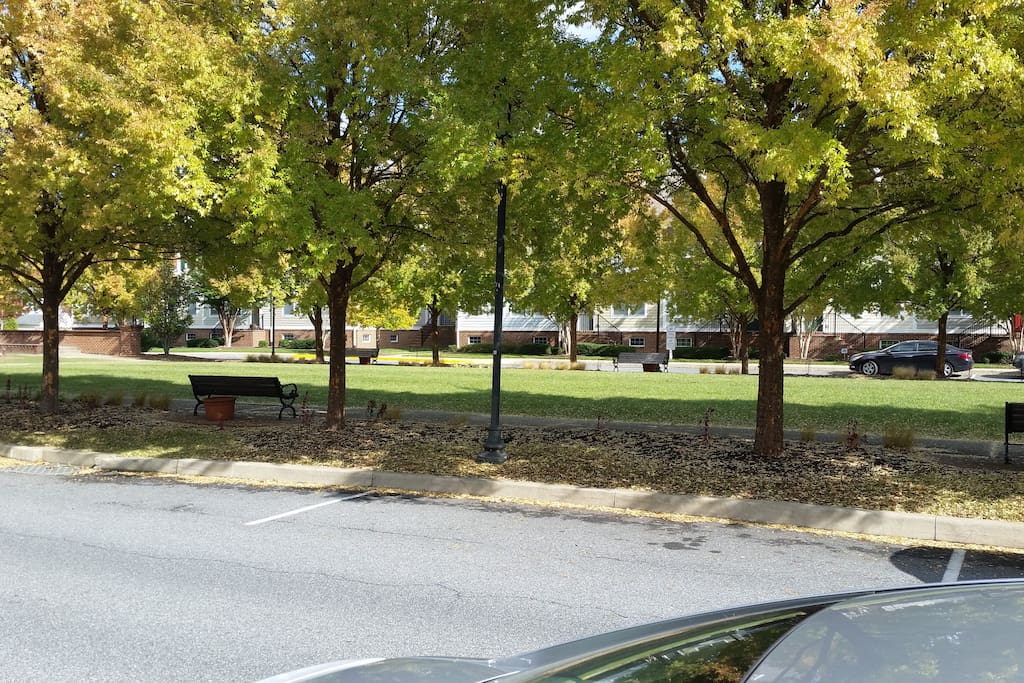 The open space in front of our house
