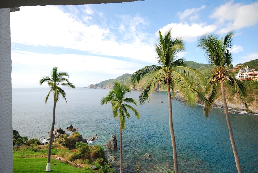 The view