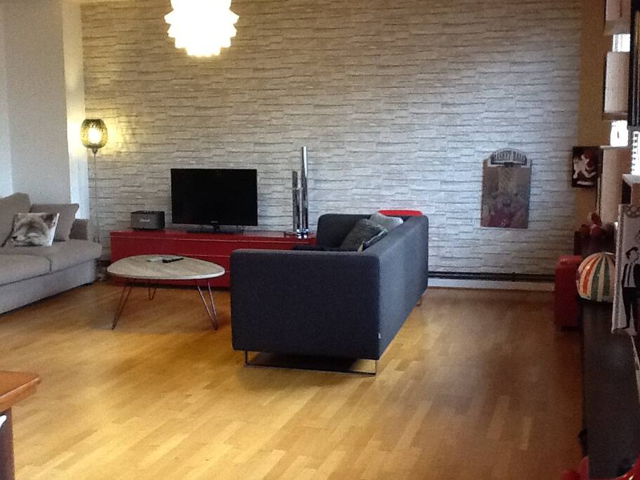 Living 35 m2 2 canapés dont un canapé lit (matelas bultex