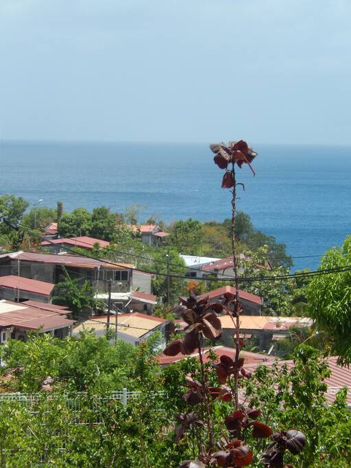 Vue sur la mer des Caraïbes