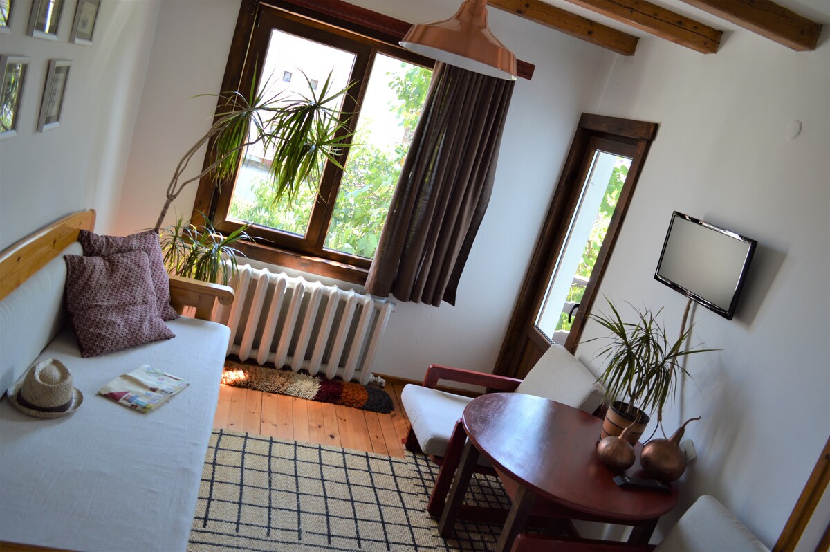 A bright living area is highlighted by large windows that allow natural light to fill the space. A cozy sofa is paired with a round wooden table and chairs. Decorative plants add a touch of greenery, complementing the warm wooden accents throughout the room.