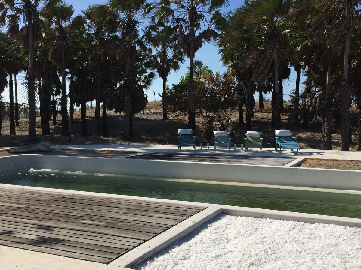 A serene outdoor space is depicted, featuring a spacious swimming pool surrounded by wooden decking. Sun loungers in light blue and white are positioned nearby, bordered by tall palm trees. The natural landscape is gently illuminated by sunlight, creating a peaceful atmosphere.