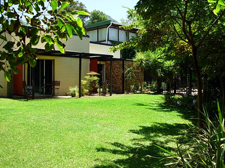 Big garden with lawn