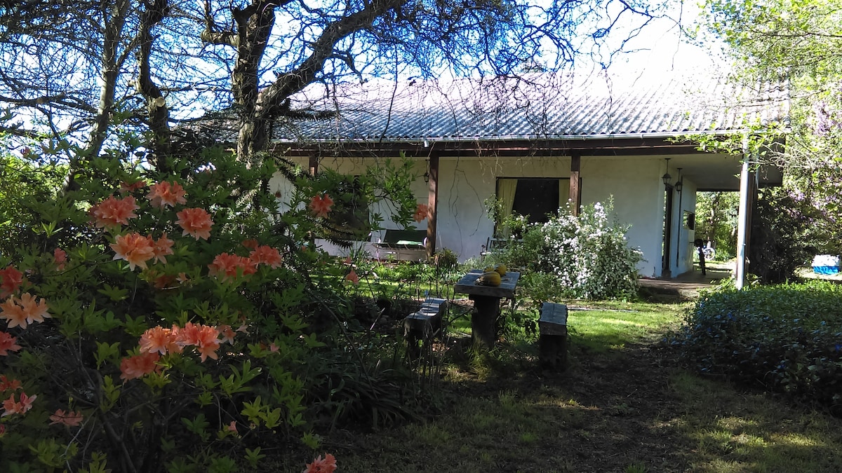 A charming house is nestled among lush greenery and vibrant flowers, with a well-maintained garden leading to its entrance. Sunlight filters through the trees, illuminating the space and creating a serene atmosphere. Outdoor seating is visible near the house, offering a tranquil spot to relax.