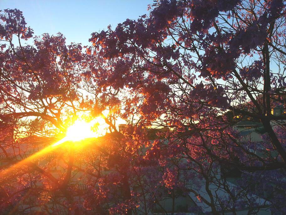 Sunrise view from the apartment