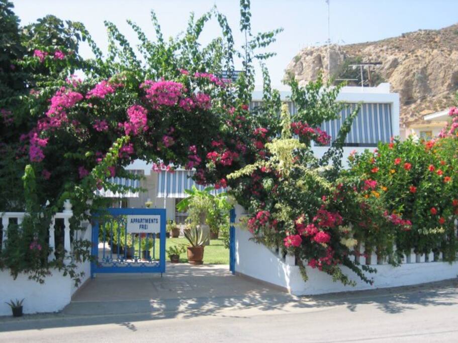 View from the street